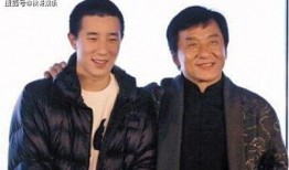 成龙爆料被儿子打的视频,揭秘幕后真相