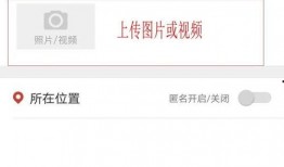 视频爆料有奖,见证真相背后的巨额奖金诱惑