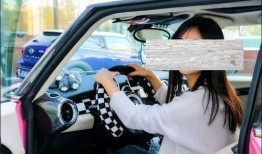 刘小姐汽车爆料视频,汽车行业那些不为人知的内幕